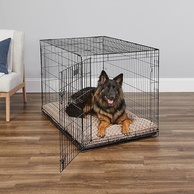 MidWest Homes for Pets 48-Inch iCrate for Extra-Large Breeds, 90-110 lbs, Single Door Folding Dog Crate with Divider Panel, Leak-Proof Tray & Secure Latches, Portable, Durable & Easy to Assemble