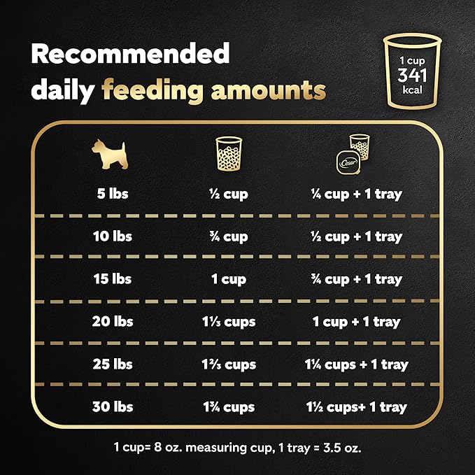 Cesar Small Breed Dry Dog Food for Small Dogs, Filet Mignon Flavor and Spring Vegetables Garnish, 2.7 lb Bag