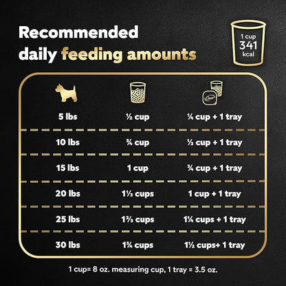 Cesar Small Breed Dry Dog Food for Small Dogs, Filet Mignon Flavor and Spring Vegetables Garnish, 2.7 lb Bag