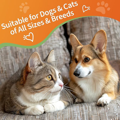 6-in-1 Kidney Support for Cats & Dogs – Promotes Healthy Kidney Function, Energy Levels & Fluid Balance – Veterinarian Formulated Herbal Supplement with Vitamin B2 & B6 – 2 fl oz (59 ml)