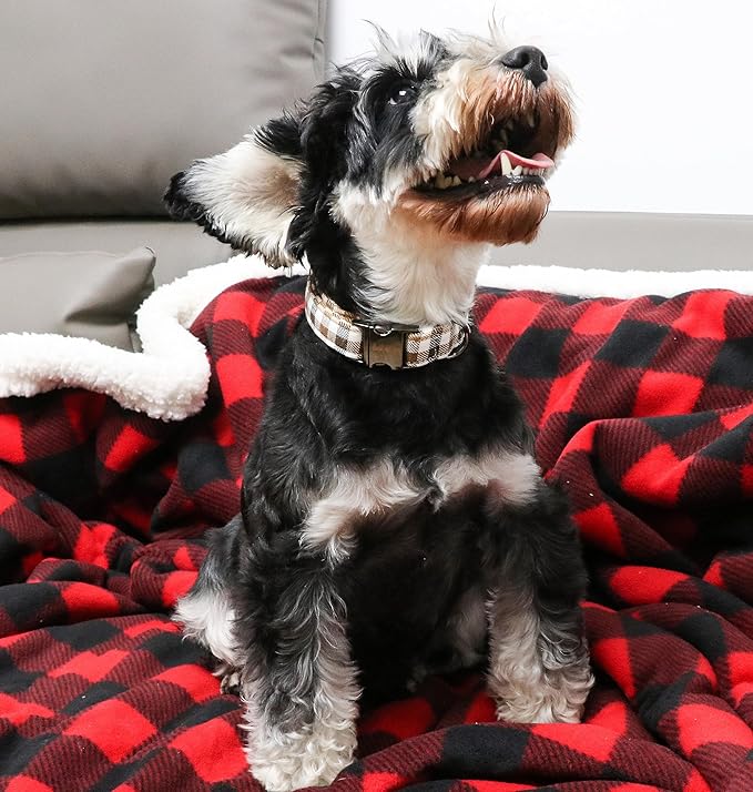 Unique style paws Dog Collar Metal Buckle Gift for Small Medium Large Boys Girls Dogs, brown plaid, XS