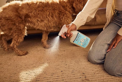 Mrs. MEYER'S CLEAN DAY Pet Stain & Odor Fighter,Coconut Leaf Scent,16oz,(Pack of 2)