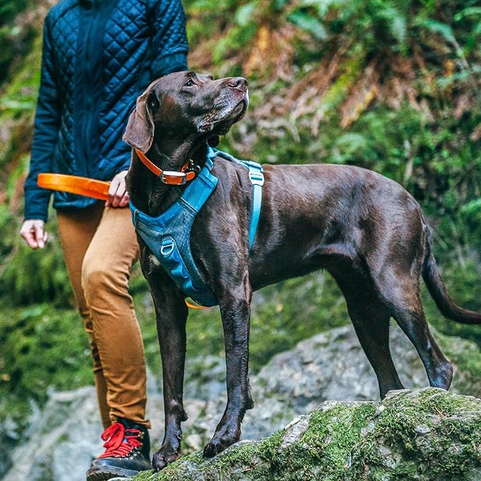 Kurgo Journey Air Dog Harness - Secure Fit for Active Dogs - Padded Chest - Lightweight Ripstop Fabric - Breathable Mesh - Reflective Trim - Back Assist Handle - Blue - Large