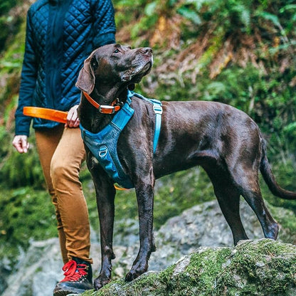 Kurgo Journey Air Dog Harness - Secure Fit for Active Dogs - Padded Chest - Lightweight Ripstop Fabric - Breathable Mesh - Reflective Trim - Back Assist Handle - Blue - Large