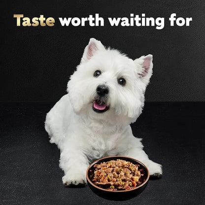 Cesar Home Delights Adult Wet Dog Food, Pot Roast with Spring Vegetables, Beef Stew, Turkey, Green Beans, & Potatoes, and Hearty Chicken & Noodle Dinner in Sauce Variety Pack, 3.5 oz. 24 Count
