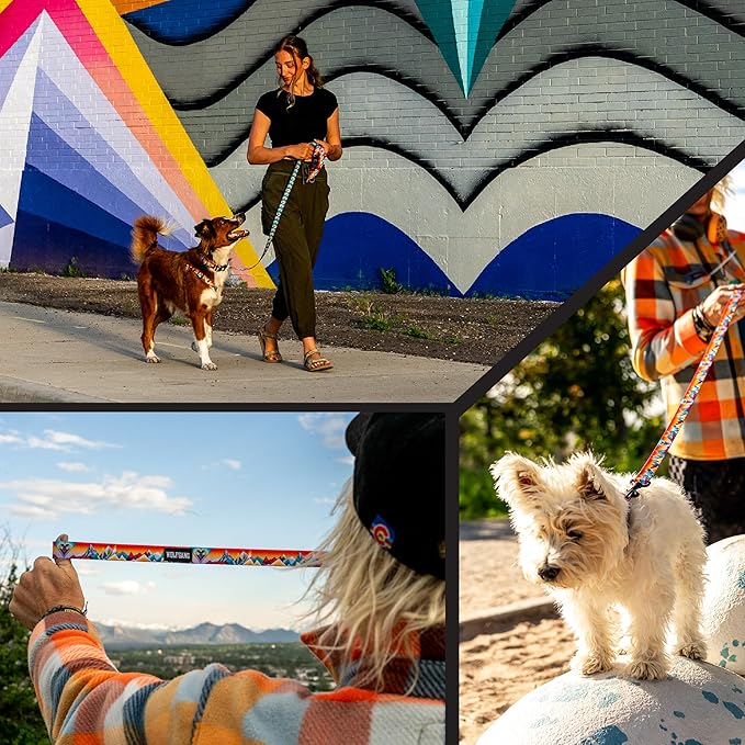 Wolfgang Heavy Duty Dog Leash, Pull-Tested for Walking & Training, MountainVibes Print, Small