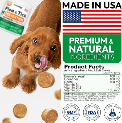 Flea and Tick Prevention for Dogs Pills - 250 Soft Chews - Natural Dog Flea & Tick Control - Oral Defense Treatment for Dogs Supplement - Vet Formulated Chews - All Breeds & Ages - Made in USA