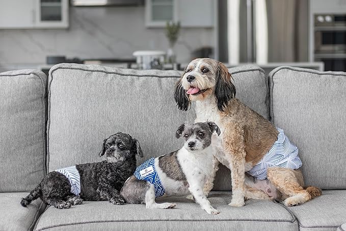 Pet Parents® Washable Belly Bands for Male Dogs (3pack) + Extendrs® of Durable Dog Diapers Male, Premium Male Dog Diapers & Dog Wraps (X-Large, Kahuna)