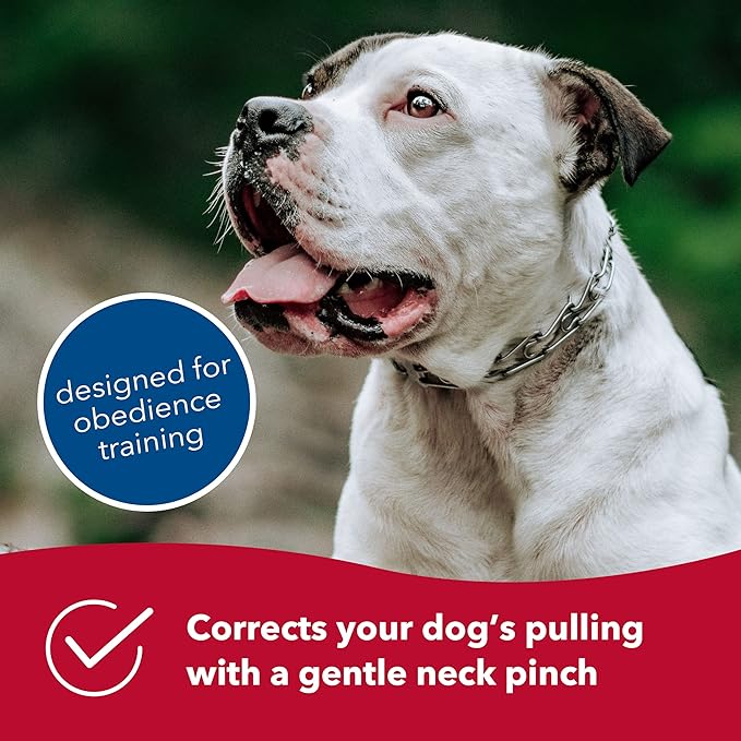 Herm Sprenger Chrome Plated Prong Dog Training Collar Ultra-Plus Pet Pinch Collar with Swivel No-Pull Collar for Dogs Made in Germany, 16in x 2.25mm