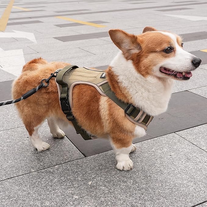 Small Dog Harness, Heavy Duty Tactical No-Pull Reflective Harness & Collar Set — Secure, No Choke, Easy On and Off Pet Vest, Adjustable Dog Vest with Breathable Padded for Walking Hiking Training