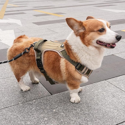 Small Dog Harness, Heavy Duty Tactical No-Pull Reflective Harness & Collar Set — Secure, No Choke, Easy On and Off Pet Vest, Adjustable Dog Vest with Breathable Padded for Walking Hiking Training
