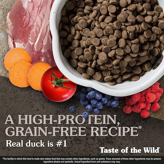 Taste of the Wild Wetlands Grain-Free Dry Dog Food with Roasted Fowl 28lb