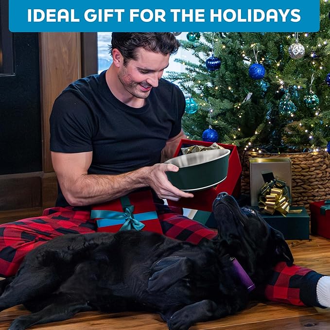 Master Pet Supply Stainless Steel Dog Bowls Set of 2 (32 Oz Each) with Non-Slip Rubber Base - Aqua Sky - Basic Dog Food Bowl Water & Food Bowls for Small Medium Large Dogs & Cats, Metal Dish