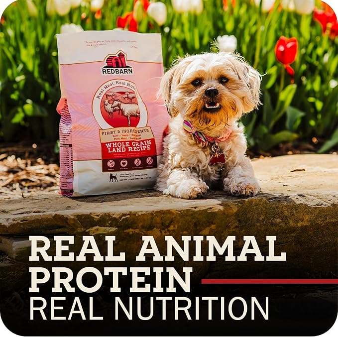 Redbarn Whole Grain Puppy Dry Dog Food Kibble - Beef & Lamb Recipe - Made in USA No Chicken Recipe with Functional Ingredients to Support Healthy Heart, Skin, Coat, Immunity & Digestion - 22lb