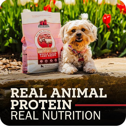 Redbarn Whole Grain Puppy Dry Dog Food Kibble - Beef & Lamb Recipe - Made in USA No Chicken Recipe with Functional Ingredients to Support Healthy Heart, Skin, Coat, Immunity & Digestion - 22lb
