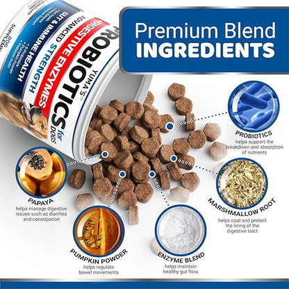 Probiotics for Dogs and Digestive Enzymes - 170 Dog Probiotics Chews - Dog Probiotic - Anti Diarrhea, Upset Stomach & Gas Relief, Constipation, Canine Prebiotic - Pet Fiber Supplement - Gut Health
