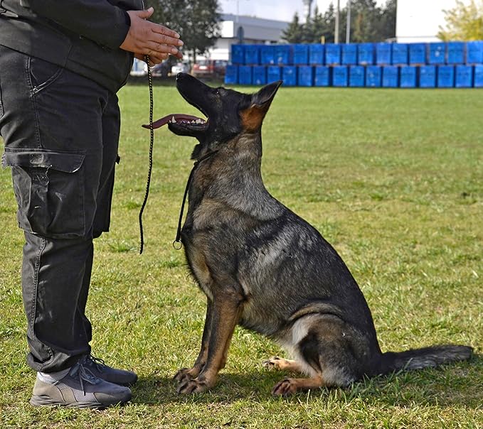 Dingo Gear Dog Choke Collar Hand Sewn Strong Polypropylene Braided Cord Two Limiters Waterproof Choker for K9 Training IGP Agitation Bite Work Obedience S - Black (S04047)