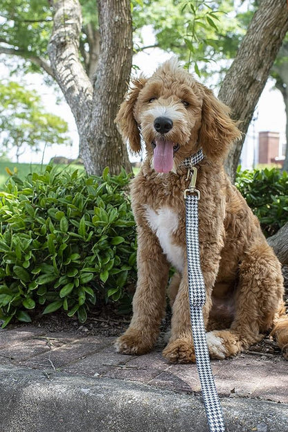 Country Brook Petz - Houndstooth Everyday Dog Collar and Leash - Sports and Athletics Collection Featuring Spirited Designs (1/2 Inch, Extra Small)
