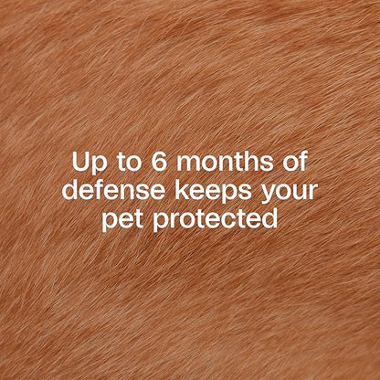 ADAMS Flea & Tick Collar Plus for Dogs & Puppies, 12 Months Protection Against Flea Infestations, Kills Fleas & Ticks, Repels Mosquitoes for Up to 6 Months (Excl. California), One Size Fits All, 2 ct