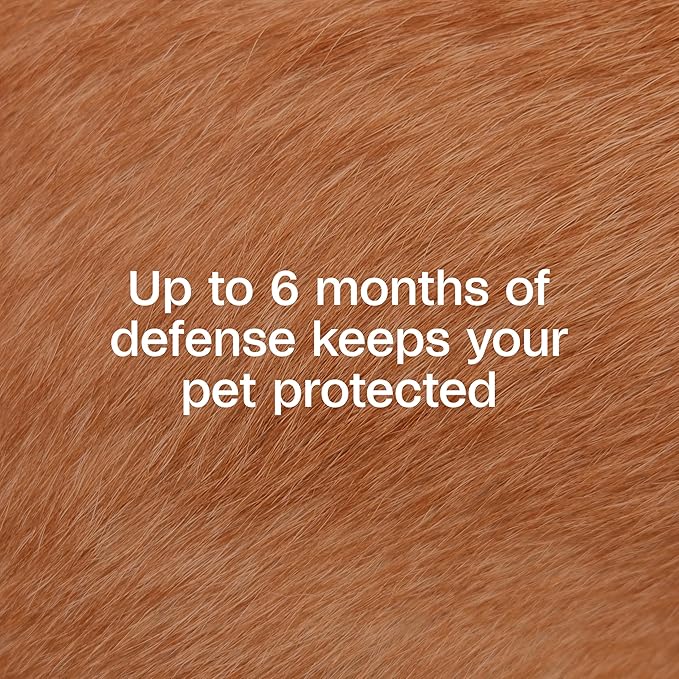 ADAMS Flea & Tick Collar Plus for Dogs & Puppies, 12 Months Protection Against Flea Infestations, Kills Fleas & Ticks, Repels Mosquitoes for Up to 6 Months (Excl. California), One Size Fits All, 1 ct