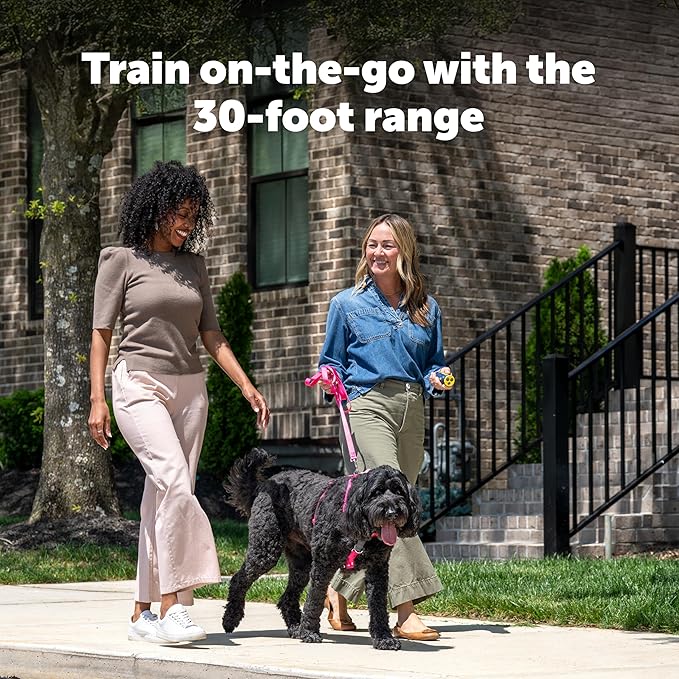 PetSafe Collarless Trainer – Ultrasonic Bark Deterrent – Handheld Anti Bark Device – High-pitched Sound, Flashing Light and Variable Tone – Rechargeable Battery – Flashlight – Wrist Strap