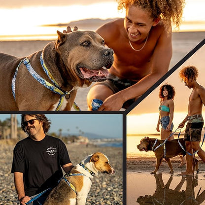 Wolfgang Heavy Duty Adjustable Dog Harness, Pull-Tested to Over 800 lbs for Walking & Training, DawnPatrol Print, Large
