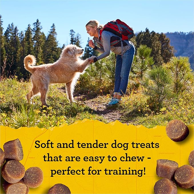 Zuke's Mini Naturals Dog Training Treats, Soft Mini Dog Treats with Vitamins & Minerals, Made for All Breed Sizes Chicken, 16 Ounce (Pack of 2)