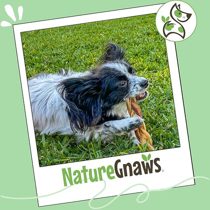 Nature Gnaws Braided Gnaws for Dogs 5-6" (3 Count) - Long Lasting for Small and Medium Dogs - Natural Beef Bully Stick Combo Braids - Rawhide Free
