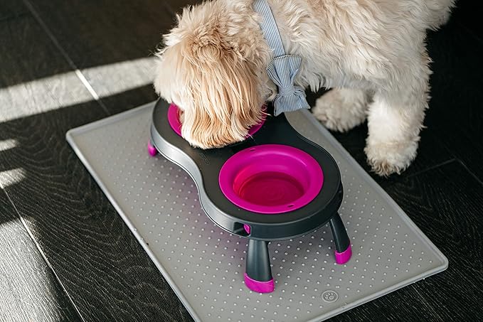 Dexas Pets Double Elevated Pet Feeder, Fuchsia, Small/1 Cup Capacity Bowls (PW1004322405)