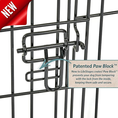 MidWest Homes for Pets Intermediate LifeStages Single Door 36-Inch Folding Dog Crate, Enhanced Security, Includes Leak-Proof Pan, Divider Panel, Handle, Rubber Feet