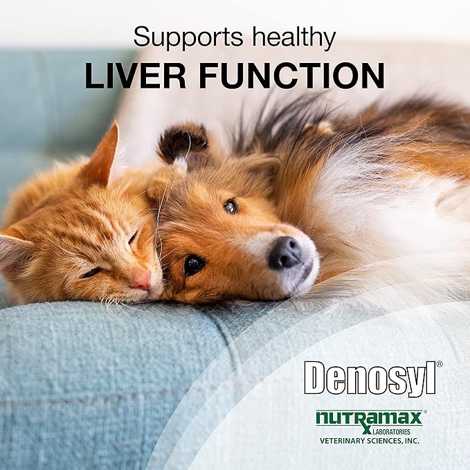 Nutramax Laboratories Denosyl for Dogs and Cats, Liver Health Supplement for Cats and Small Dogs, with S-adenosylmethionine (SAMe), Stabilized Tablets, 30 Count