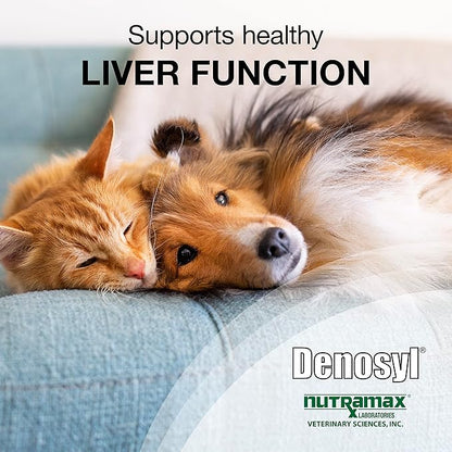 Nutramax Laboratories Denosyl for Dogs and Cats, Liver Health Supplement for Cats and Small Dogs, with S-adenosylmethionine (SAMe), Stabilized Tablets, 30 Count