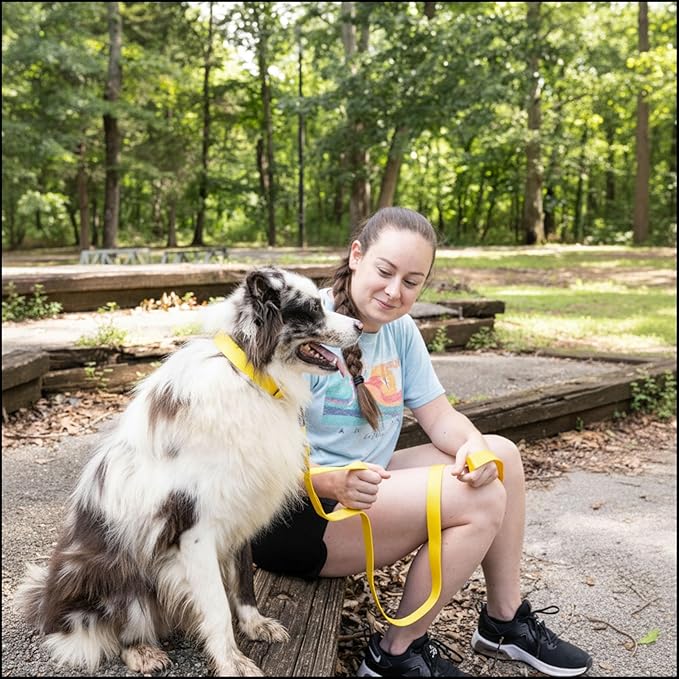 Country Brook Petz - Everyday Nylon Dog Collar for Large, Medium, and Small Dogs and Puppies - for Everyday Use in 15+ Cool Colors (2XS, 3/8 Inch Wide, Yellow)
