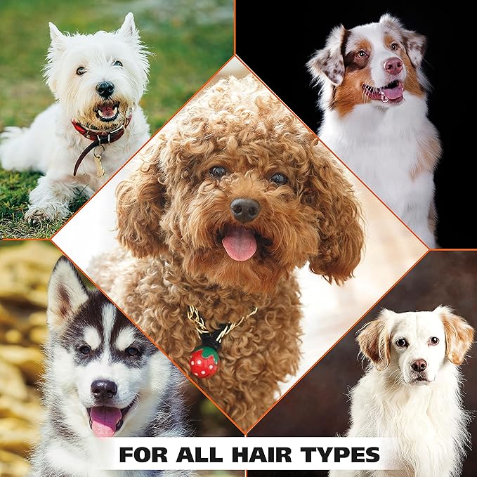 Wahl USA 4-in-1 Calming Pet Shampoo for Dogs with a Lavender Chamomile Scent – Cleans, Conditions, Detangles, & Moisturizes - Pet Friendly Formula – 64 Oz - Model 821000-050