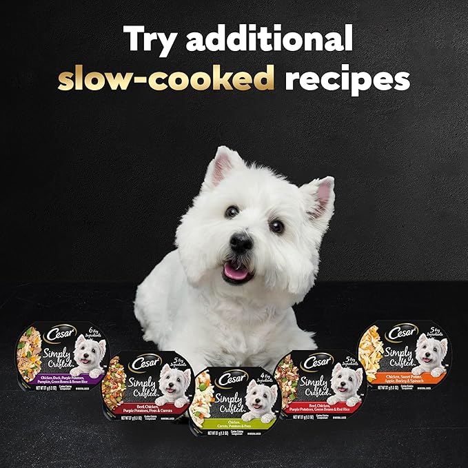 Cesar Simply Crafted Adult Wet Dog Food Toppers for Dry Food, Chicken, Duck, Purple Potatoes, Pumpkin, Green Beans & Brown Rice, 1.3 oz Tubs, 10 Count