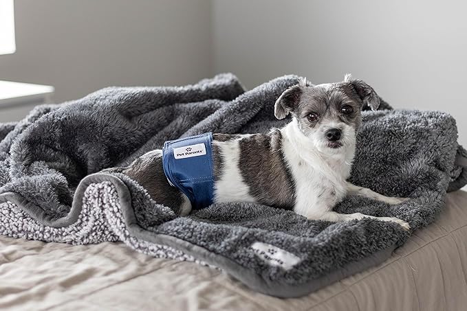Pet Parents® Washable Belly Bands for Male Dogs (3pack) + Extendrs® of Durable Dog Diapers Male, Premium Male Dog Diapers & Dog Wraps (X-Small, Kingsmen)