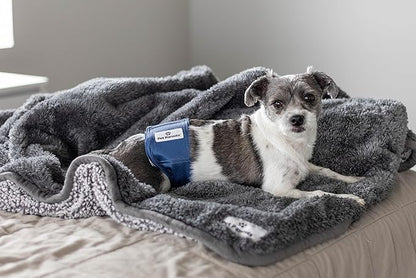 Pet Parents® Washable Belly Bands for Male Dogs (3pack) + Extendrs® of Durable Dog Diapers Male, Premium Male Dog Diapers & Dog Wraps (X-Small, Kingsmen)