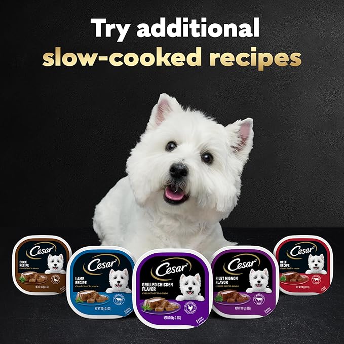 Cesar Classic Loaf in Sauce Adult Wet Dog Food Chicken & Veal, Wet Food for Dogs, 3.5 oz Easy Peel Trays, 24 Count