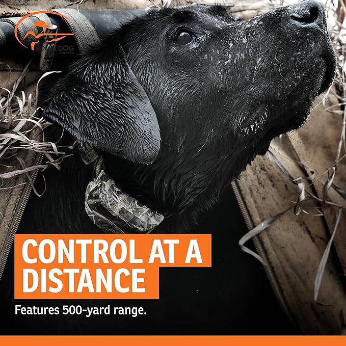 SportDOG WetlandHunter 425X Remote Trainer - Reliable Off-Leash Control - Rechargeable - Waterproof DryTek Technology - Adjustable Training Collar - Camouflage - 500-Yard Range, 1 Collar