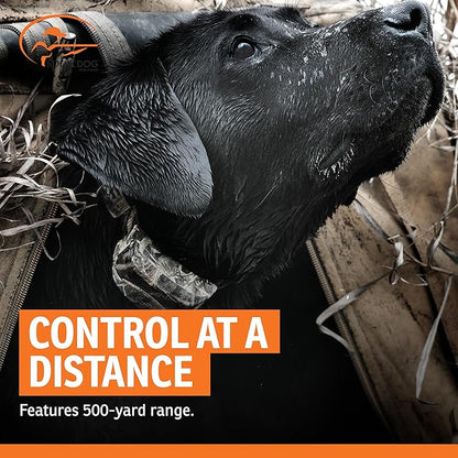 SportDOG WetlandHunter 425X Remote Trainer - Reliable Off-Leash Control - Rechargeable - Waterproof DryTek Technology - Adjustable Training Collar - Camouflage - 500-Yard Range, 1 Collar