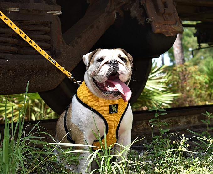 EcoBark Dog Leash - Soft & Reflective Comfort Training Leashes with Padded Handle - Strong Durable Heavy Duty - Training and Pulling for Small, Medium or Large Dogs (Yellow)