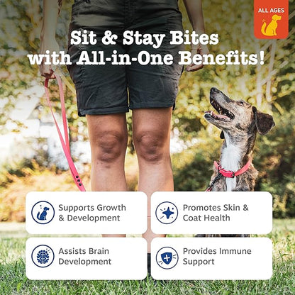 Zesty Paws Training Treats for Dogs & Puppies - Dog Treats for Training - Healthy Dog Chews for Hip, Joint & Muscle Health - for All Breeds and Ages - Bacon Flavor - 12oz