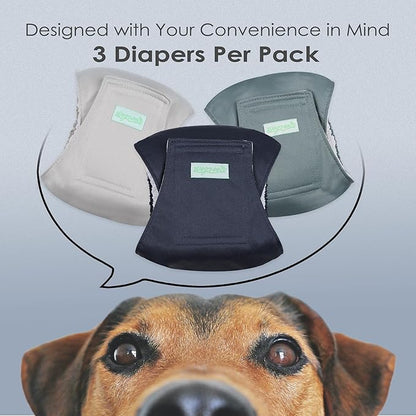 wegreeco Washable Male Dog Belly Band (Stylish Pattern)- Pack of 3 - Washable Male Dog Belly Wrap, Dog Diapers Male (Blue, Green, Champagne, Medium)
