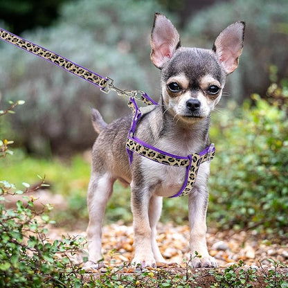 Mile High Life Leopard Dog Harness Collar Leash Set, Adjustable No Pull Dog Halter Harness for Small Breed Dogs, Easy Control for Training Walking (Purple, M Chest 15"-21", Neck 13"-17")