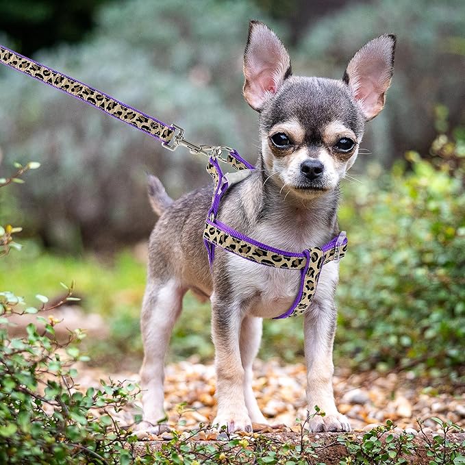 Mile High Life Leopard Dog Harness Collar Leash Set, Adjustable No Pull Dog Halter Harness for Small Breed Dogs, Easy Control for Training Walking (Purple, S Chest 11"-18", Neck 10"-14")