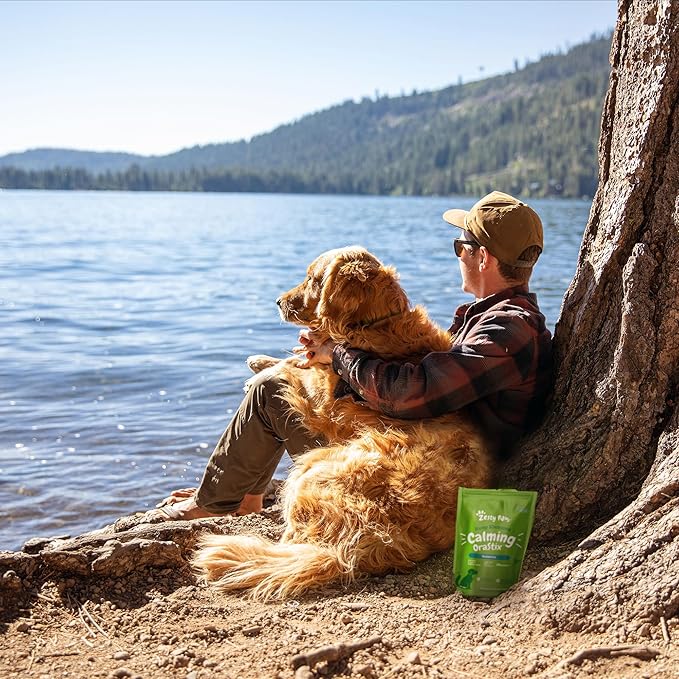 Zesty Paws OraStix for Dogs - Calming Dental Sticks for Stress with Hemp Melatonin Chamomile Dog Healthy Teeth and Gums Calm Composure for Fireworks and Thunderstorms - 25oz (Pack of 2)