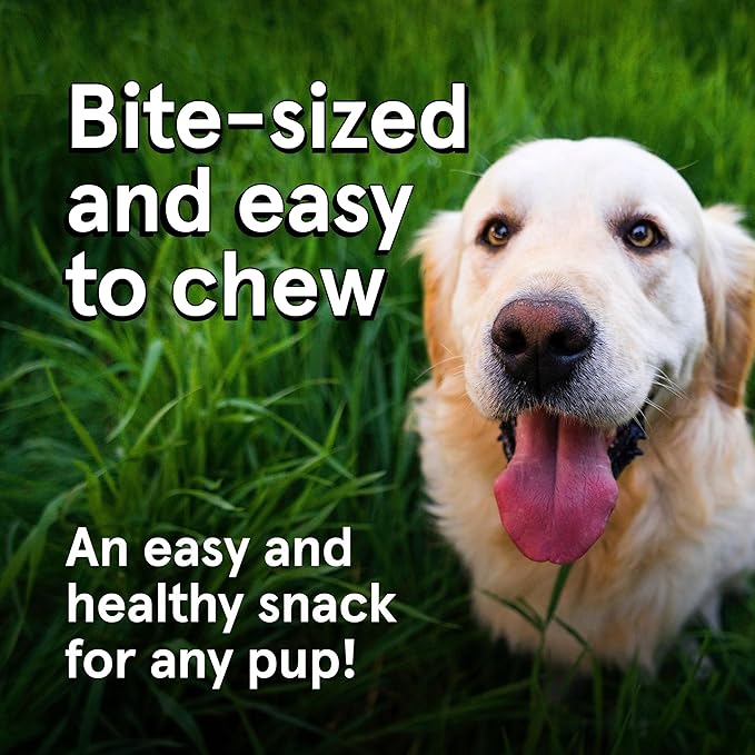 TRMC Real Meat Dog Treats - 12oz Bag of Bite-Sized Air-Dried Venison & Chicken Jerky for Dogs - Grain-Free Jerky Dog Treats Made up of 95% Free-Range Venison & Chicken - All-Natural Dog Treats