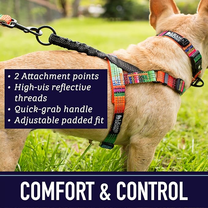 Leash Boss No Pull Dog Harness, Easy Walk for Small, Medium, and Large Pets, Reflective with Rear and Front Clip Attachment (Space Pattern, Extra Large)