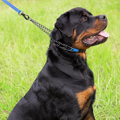 Herm Sprenger Black Stainless Steel Dog Collar with Quick Release ClicLock Buckle O-Ring Biothane Insert Training Collar Made in Germany (Cerulean Blue, 23in x 3.2mm(Neck Size up to19-20in))