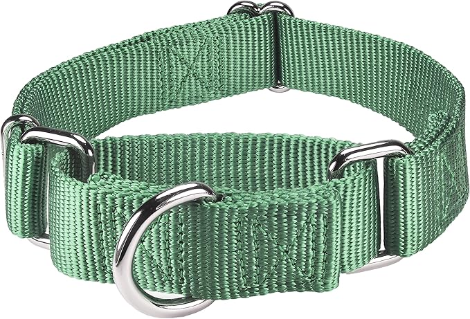 Mikivery Martingale Dog Collar Nylon Adjustable and Safety Training Colourful Comfortable Metal Buckle Pet Collars for Small Medium and Large Dogs(Emerald,M)